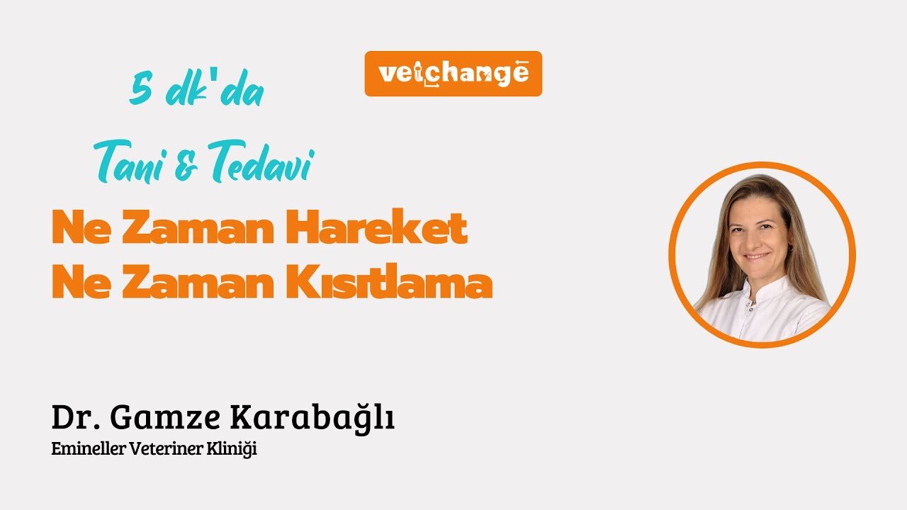 5 dk'da ''Ne Zaman Hareket Ne Zaman Kısıtlama'' Dr. Gamze Karabağlı